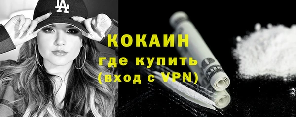 прущие грибы Балабаново