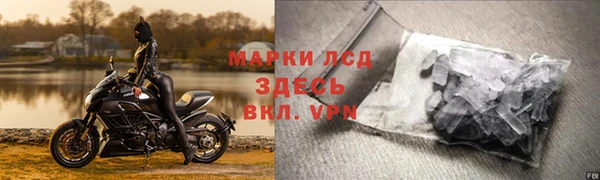 прущие грибы Балабаново