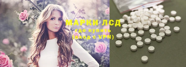 прущие грибы Балабаново