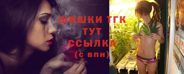 прущие грибы Балабаново