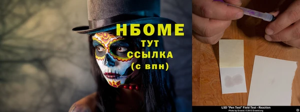 прущие грибы Балабаново